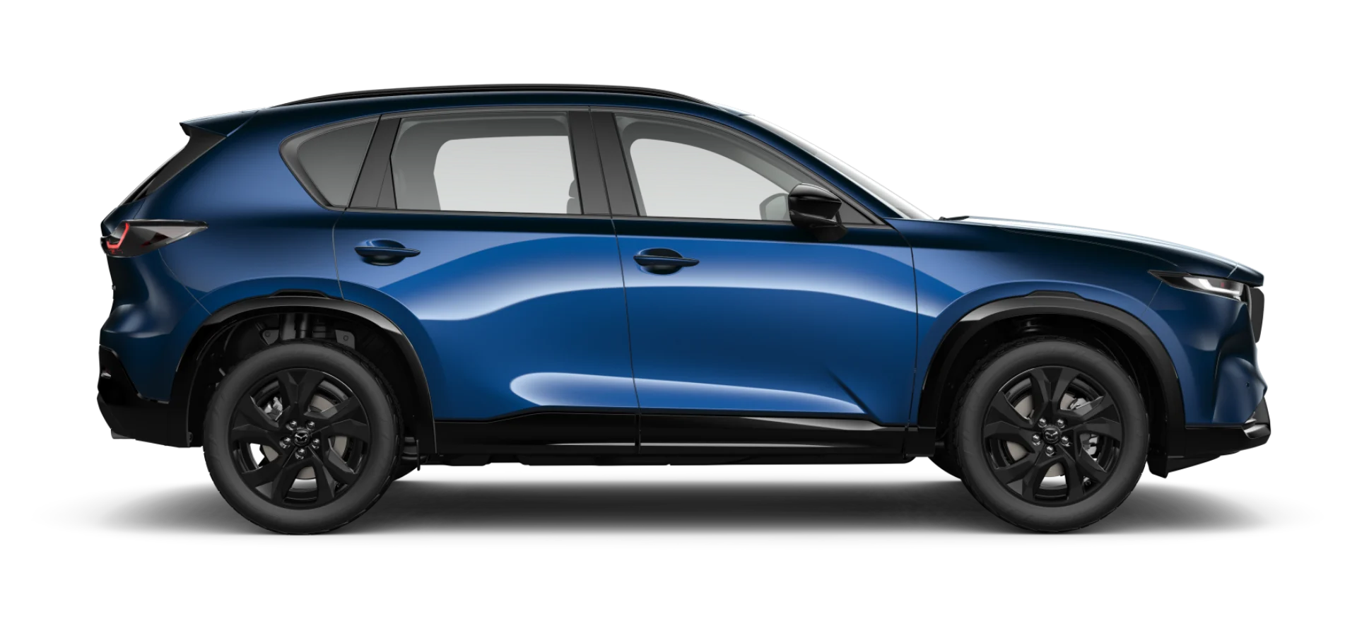 Cx5high2